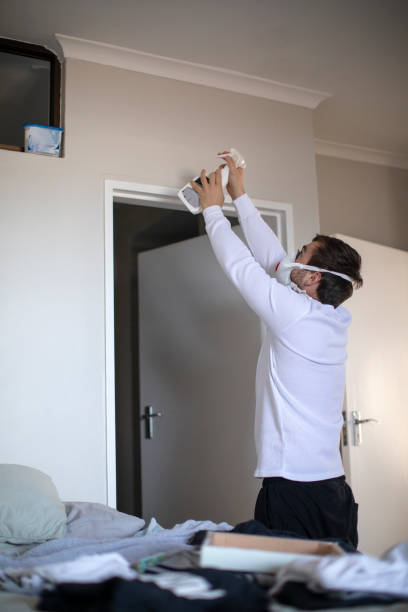 Best Asbestos and Lead Testing During Mold Inspection  in Mulberry, IN