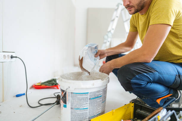 Best Mold Odor Removal Services  in Mulberry, IN