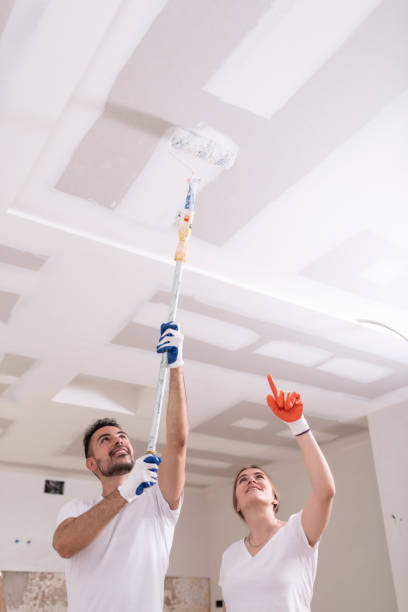  Mulberry, IN Mold Removal Pros