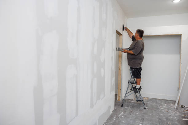 Mold Documentation for Insurance Claims in Mulberry, IN