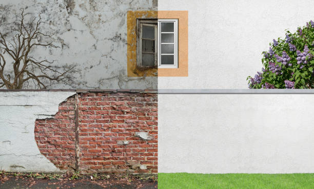 Best Basement Mold Removal  in Mulberry, IN