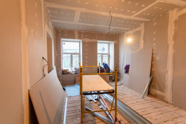 Trusted Mulberry, IN Mold Removal Experts
