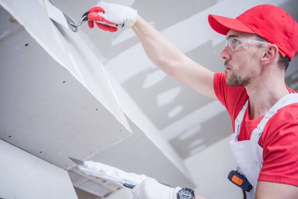 Best Mold Documentation for Insurance Claims  in Mulberry, IN