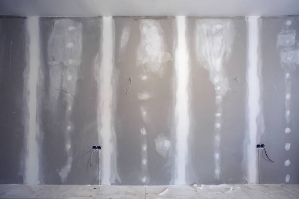 Best Environmental Consulting for Mold Prevention  in Mulberry, IN